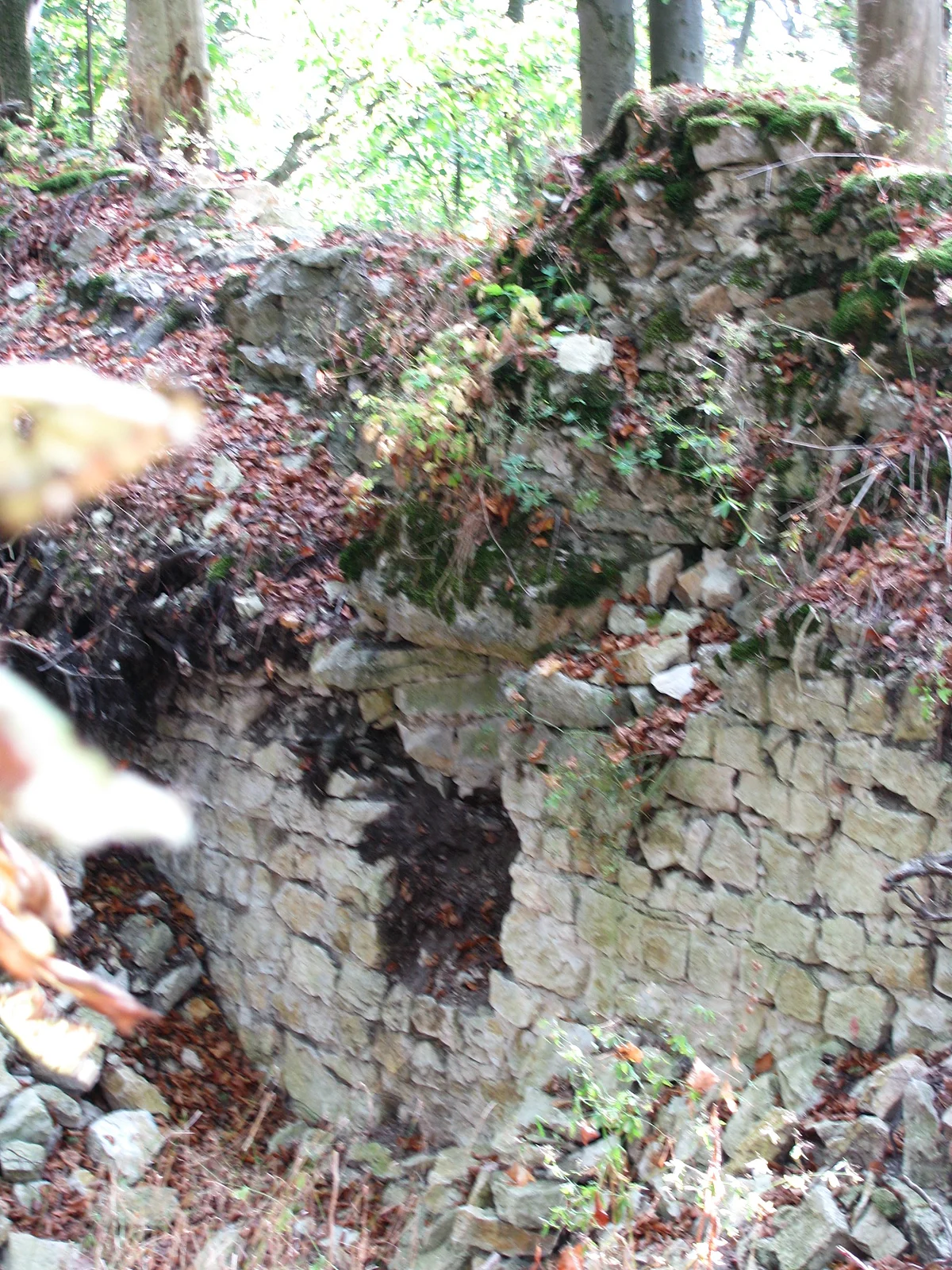 Reste einer ehemaligen Burg bei Aicha