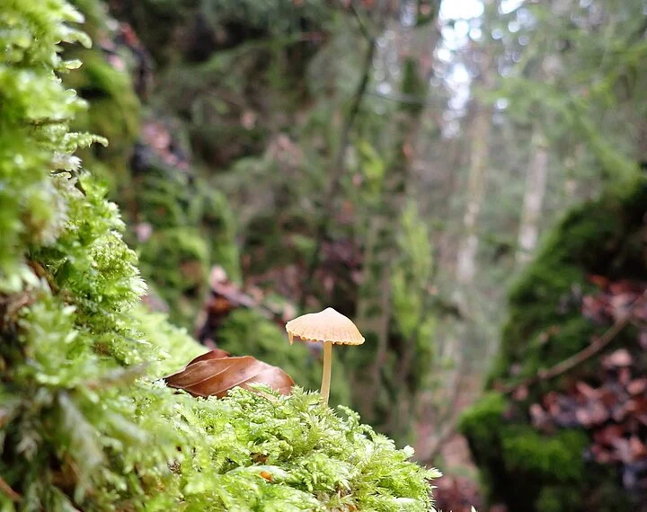 Zigeunerloch bei Wellheim