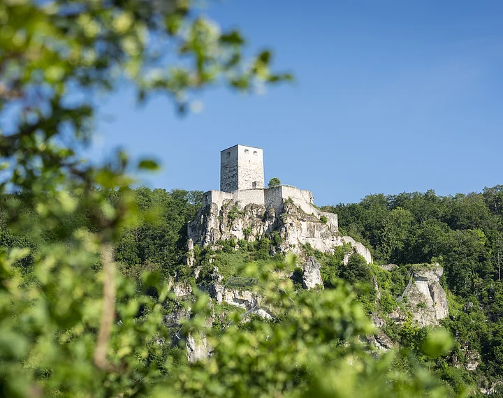 Burgruine auf einem bewaldeten Felsen unter blauem Himmel, im Vordergrund unscharfe grüne Blätter.