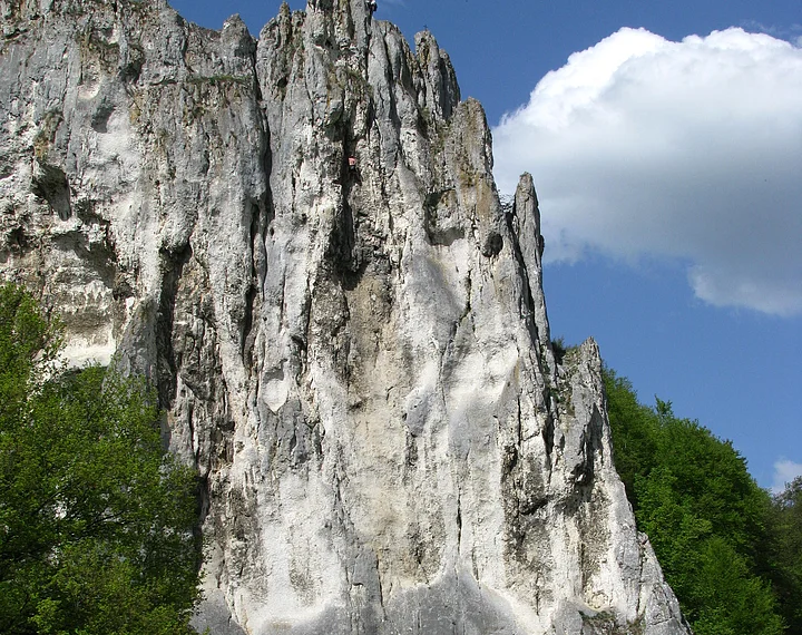 Felsformation mit steiler weiß-grauer Oberfläche, davor Wiese, Bäume und Verkehrsschilder bei blauem Himmel.